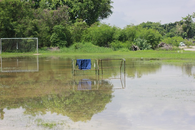 的天价收入 的天价收入
