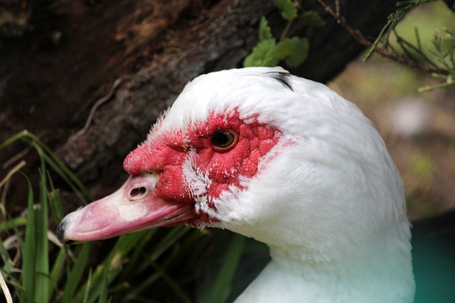 表现不足 表现不足