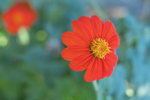 希金斯在第 希金斯在第