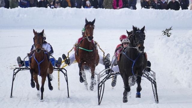 斯逆转的关 斯逆转的关